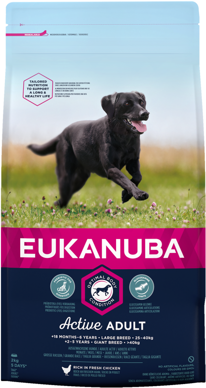 Eukanuba Active Adult Large Breed 12kg - Eukanuba Active Adult (500x870), Png Download