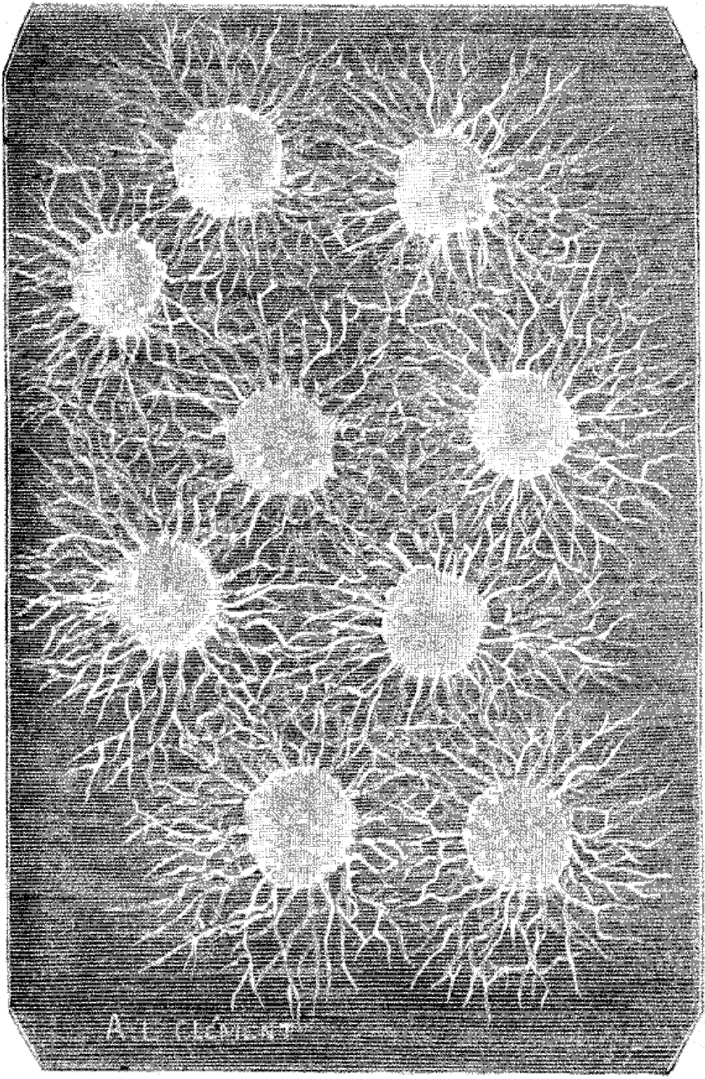 File - La Nature - 1879 - S1 - P212 Origines De La - Monochrome (1006x1538), Png Download