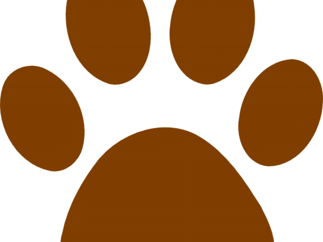 Grizzly Bear Clipart Paw Print - Circle (640x480), Png Download