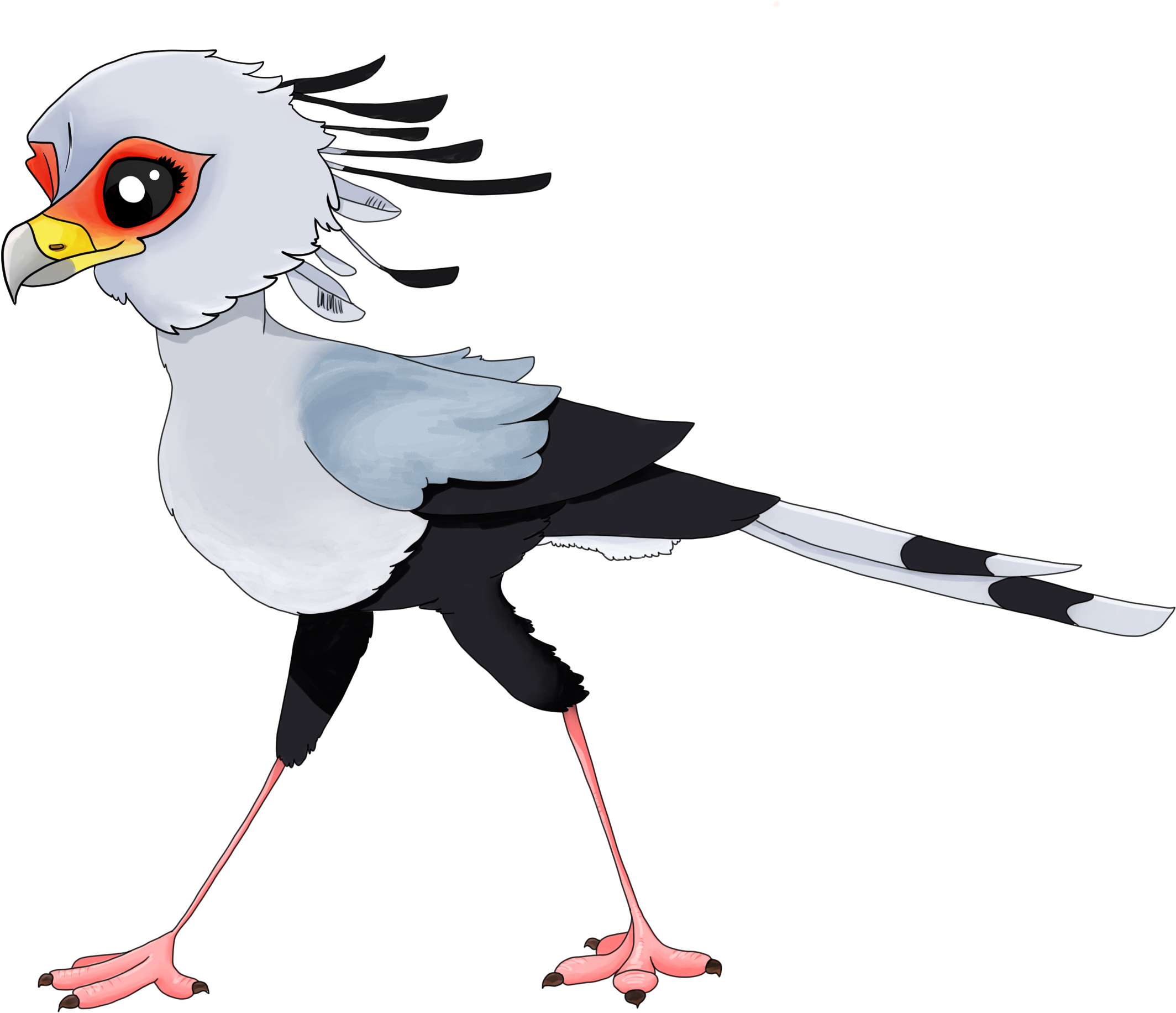 Boy Photo2 - Budgie (2480x2142), Png Download