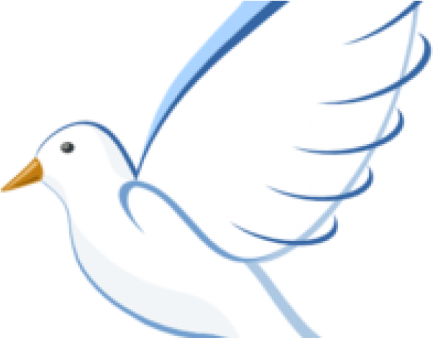 White Dove Cliparts - Dove Clip Art (640x480), Png Download