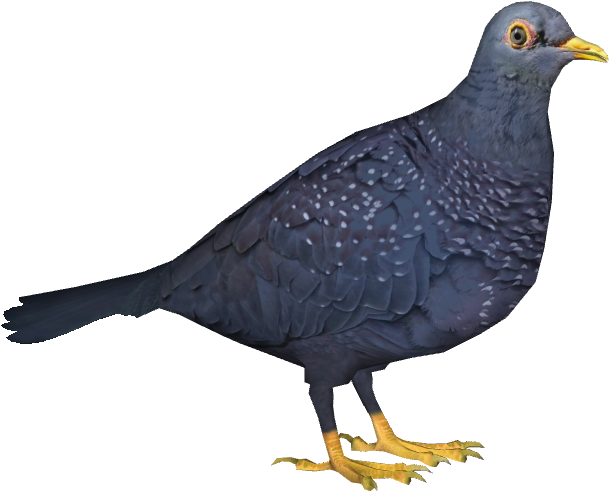 African Olive Pigeon - Stock Dove (630x630), Png Download