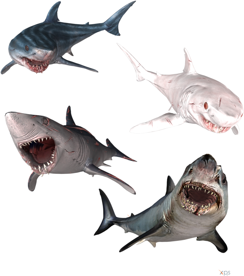 Great White Shark Clipart Mako Shark - Depth Sharks (833x959), Png Download