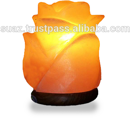 Pakistan Flower Shape Table, Pakistan Flower Shape - Flame (559x559), Png Download