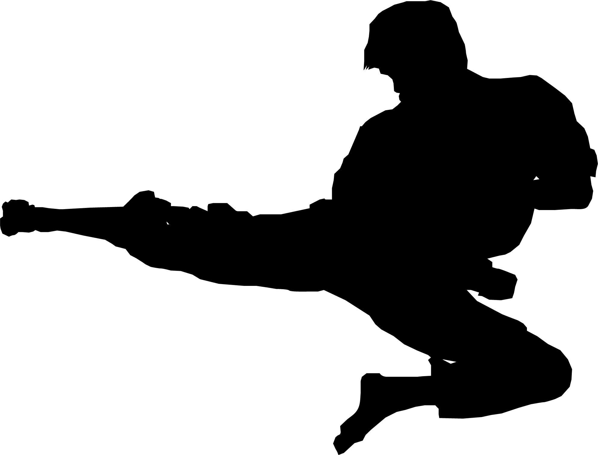 Karate Silhouette (1986x1512), Png Download