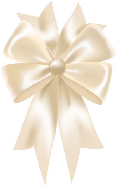 Gift Bow - Still Life Photography (866x650), Png Download