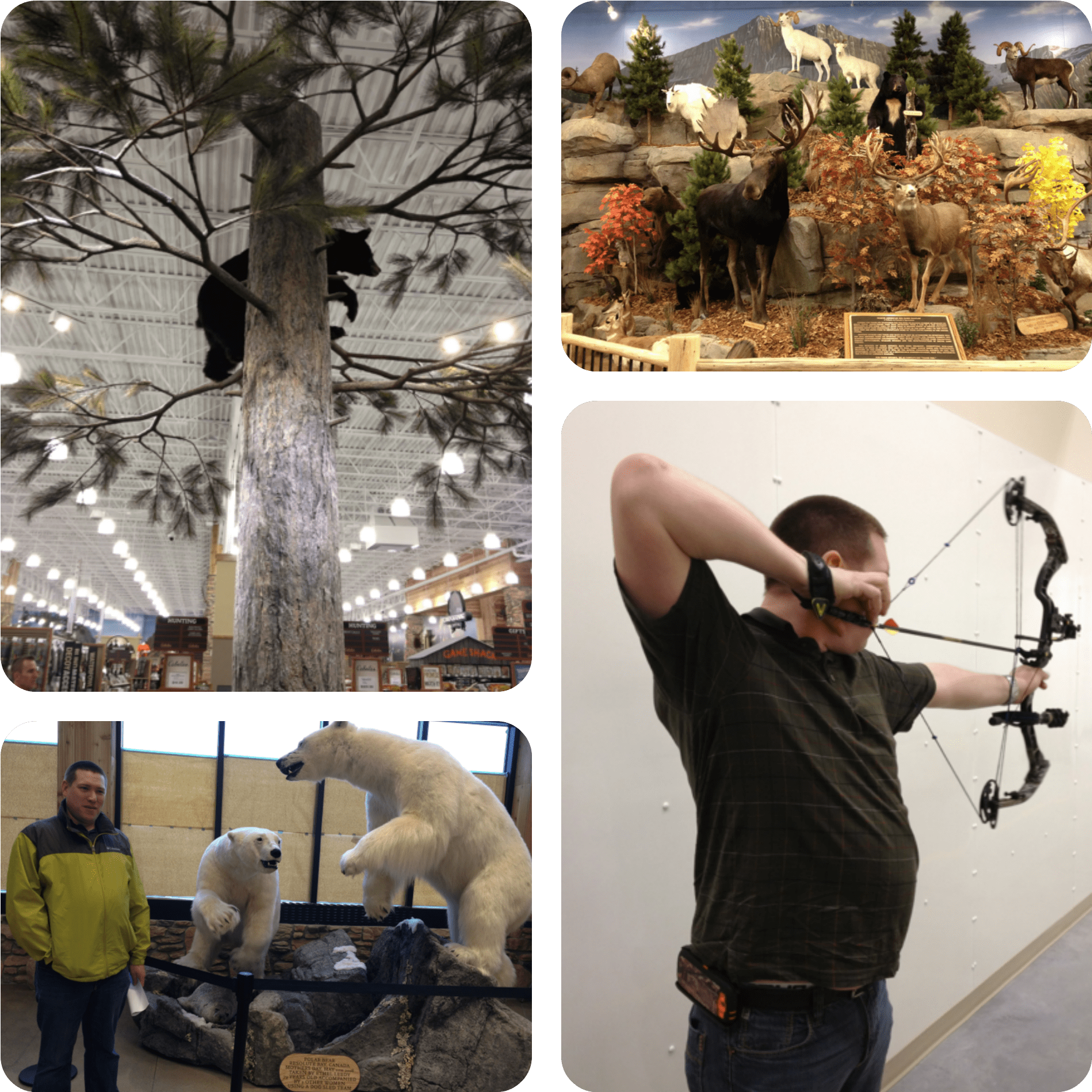 Field Archery (2000x2000), Png Download