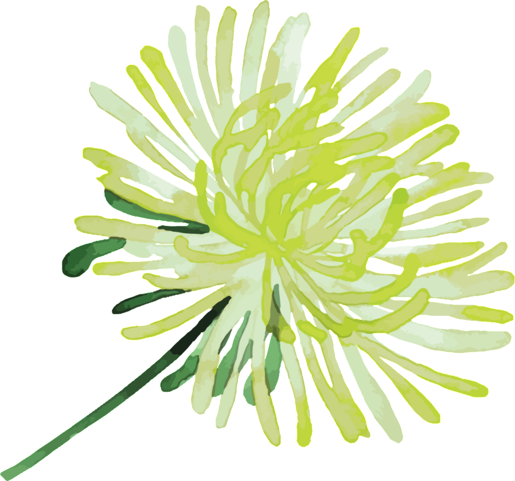 Elegant Yellow White Flowers Hand Painted Chrysanthemum - Floral Design (1024x955), Png Download