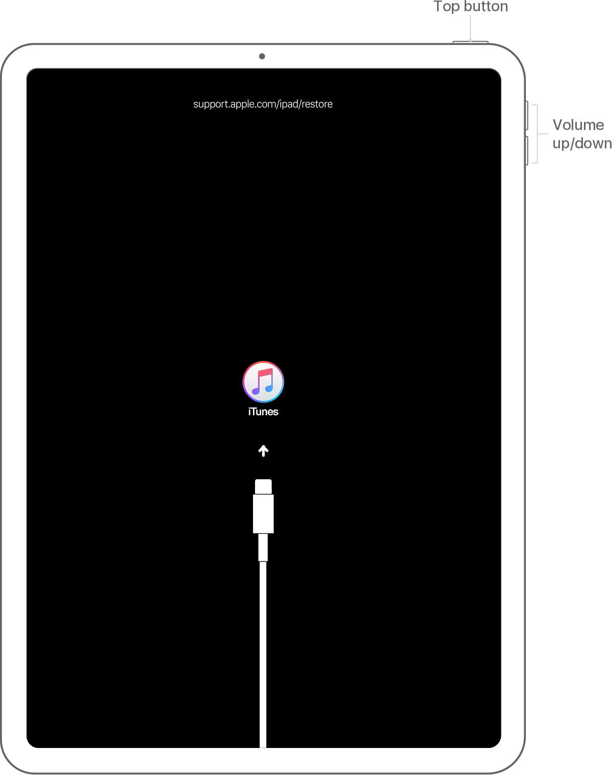 Press And Quickly Release The Volume Down Button - Itunes (1200x1520), Png Download
