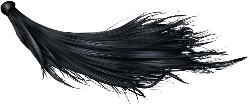 Black Hair Png (900x388), Png Download
