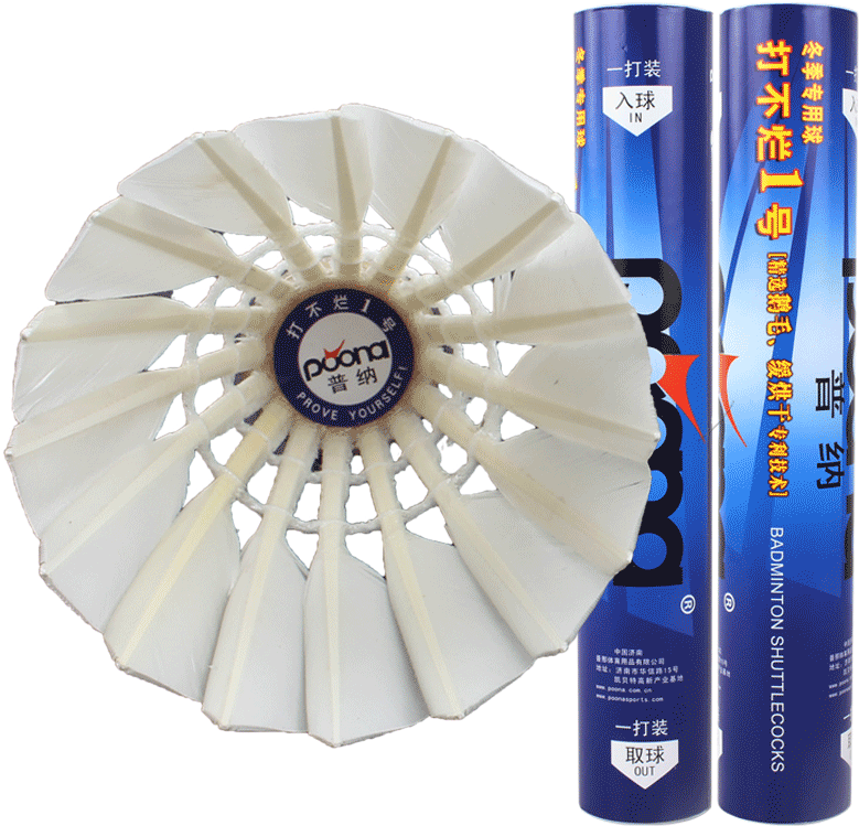 12 Badminton Sports Accessories Birdies Ball Sport - Award (800x800), Png Download