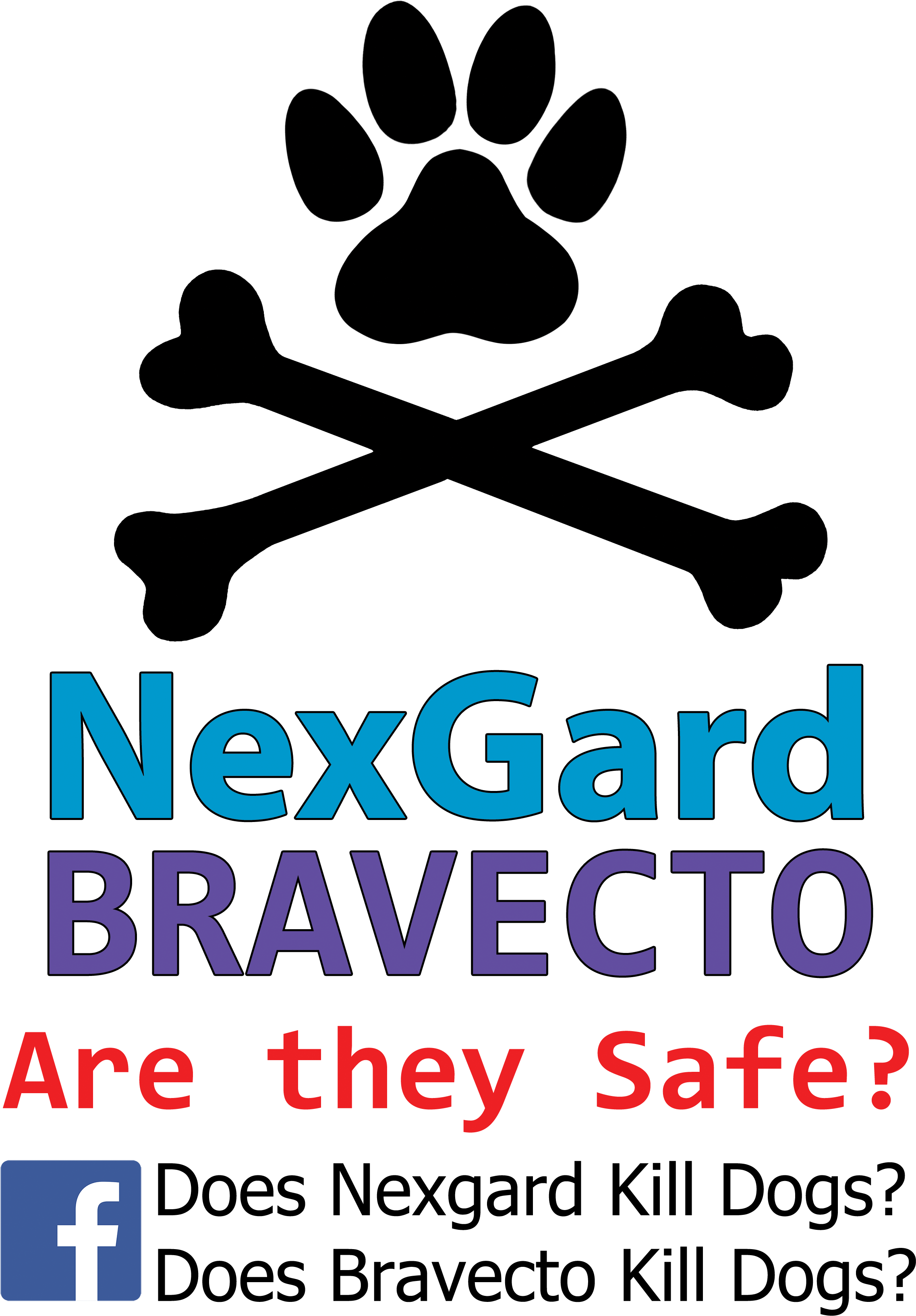 File A4 With Transparent Background - Poster (2480x3508), Png Download