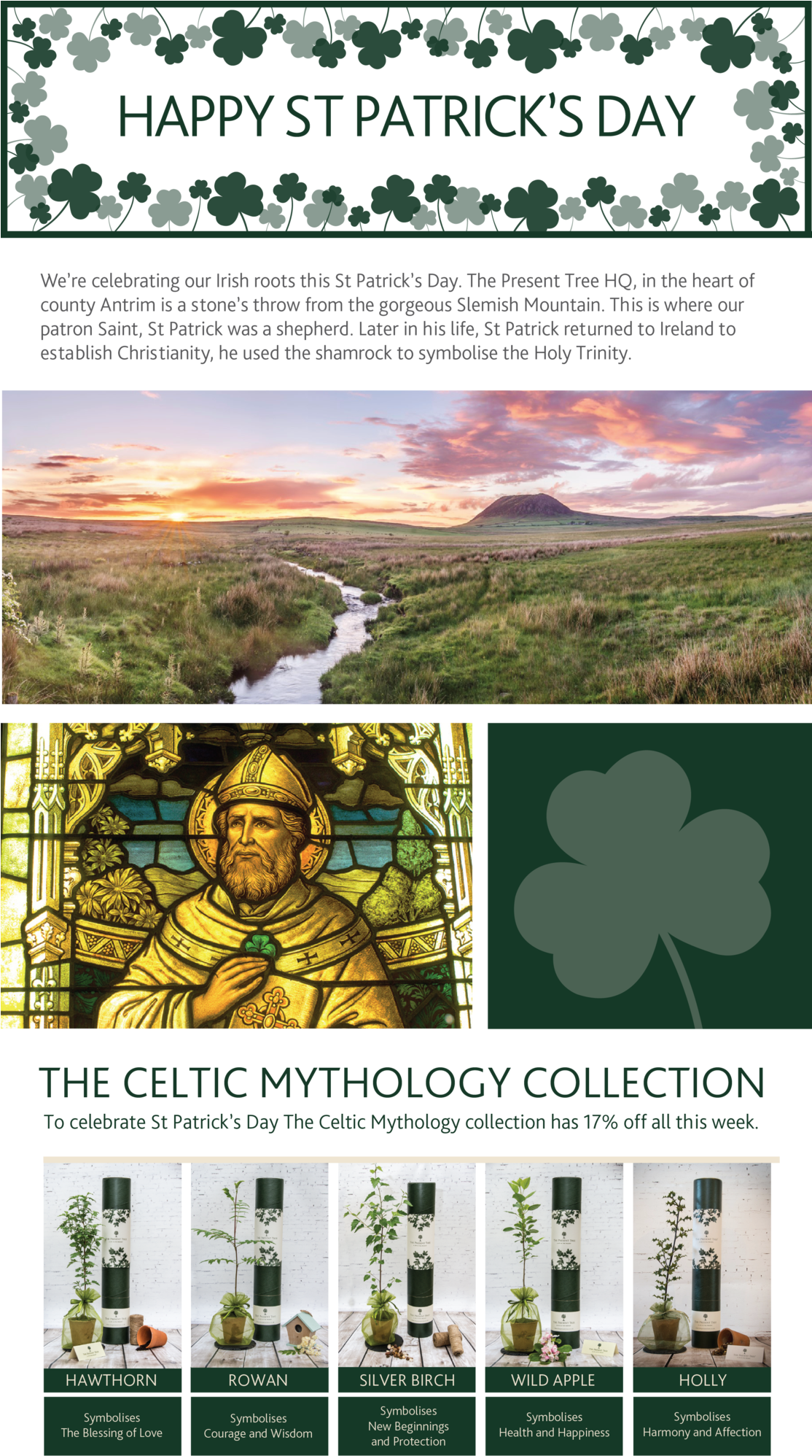 Happy St Patrick's Day - Poster (1113x2048), Png Download