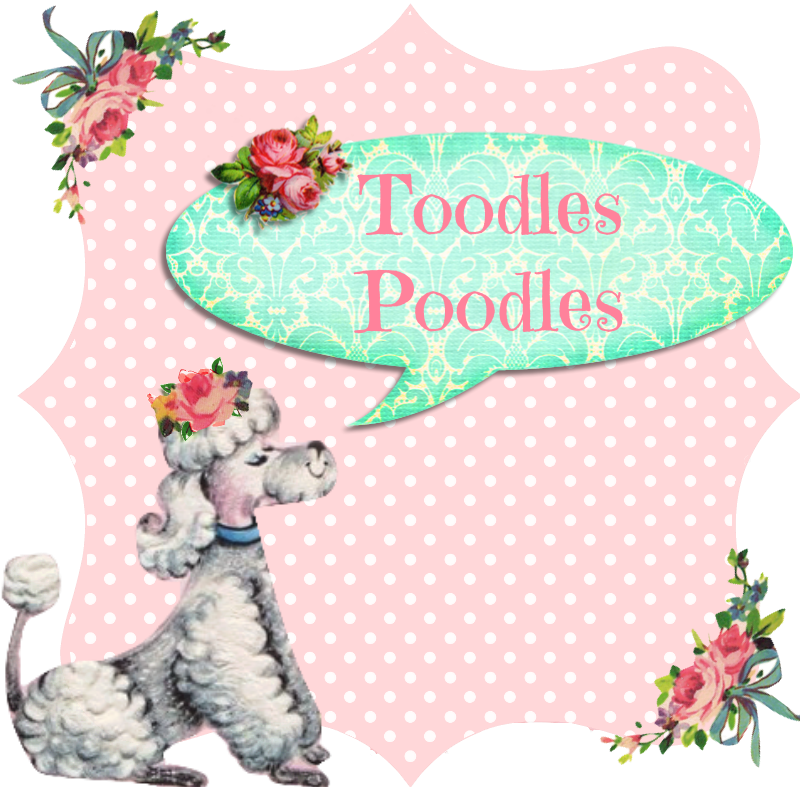 What About You Poodles Do You Have Any Hoarding Confessions - Illustration (800x787), Png Download