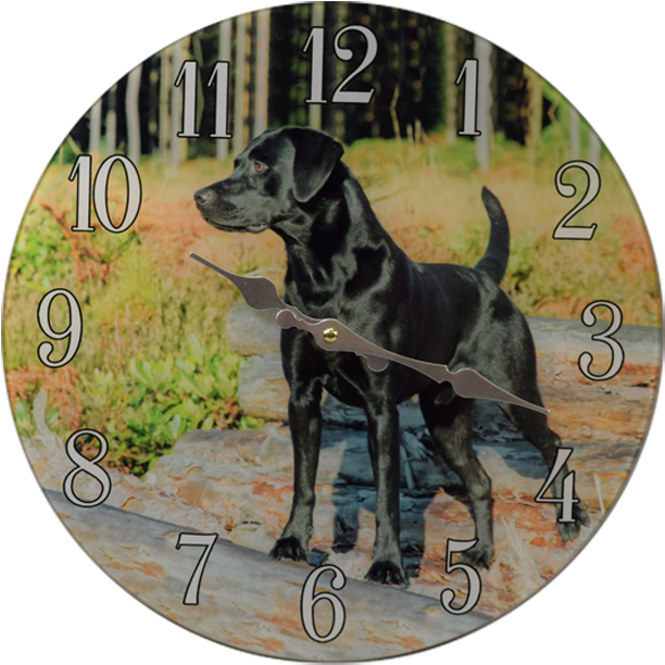 Categories - หมา พันธุ์ ตัว ใหญ่ (661x661), Png Download