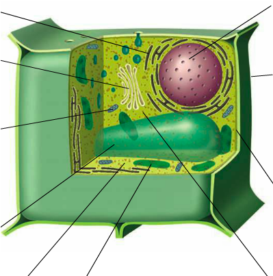 Location - Hutch (817x629), Png Download