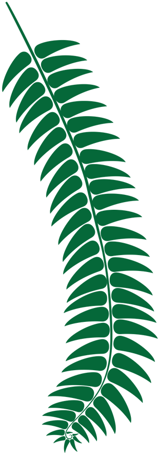 Fern Dark Green - Fern (427x965), Png Download