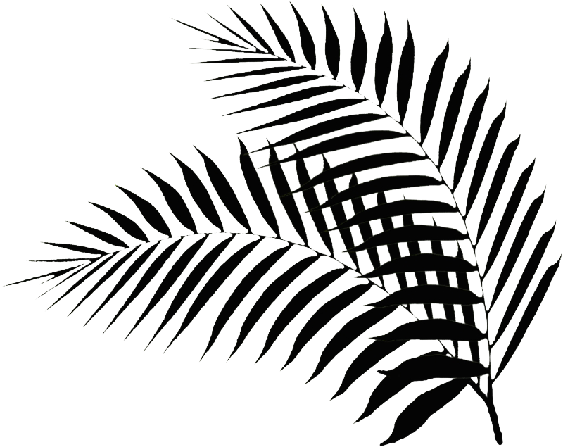 Black Palm Leaf - Black Palm Leaf Png (840x708), Png Download