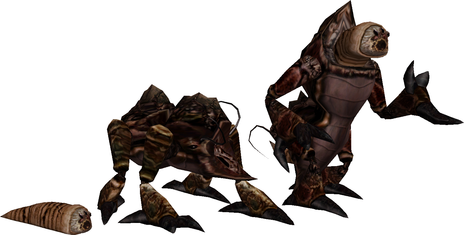 Mundane Flora And Fauna [archive] - Morrowind Kwama (1537x810), Png Download