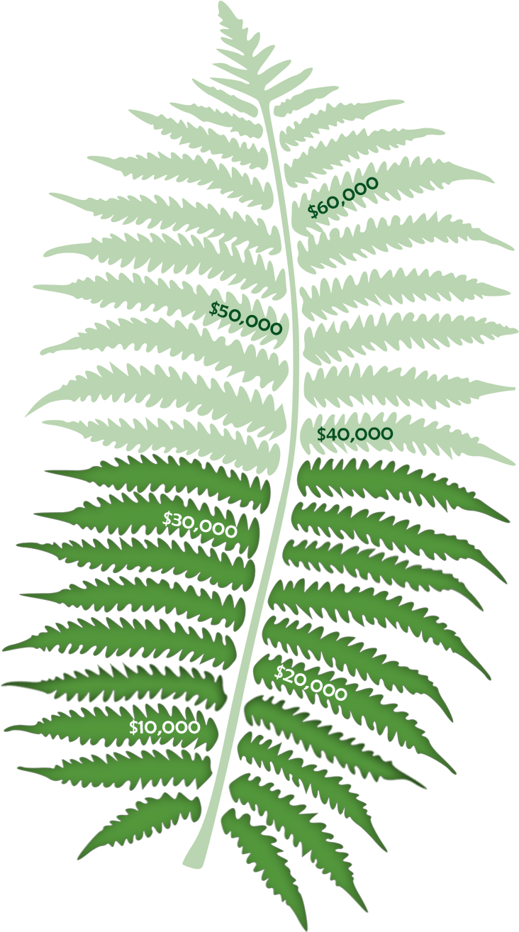 We Are Approaching Our Goal And You Like To Thank Everyone - Fern Leaf Stencil (800x1333), Png Download