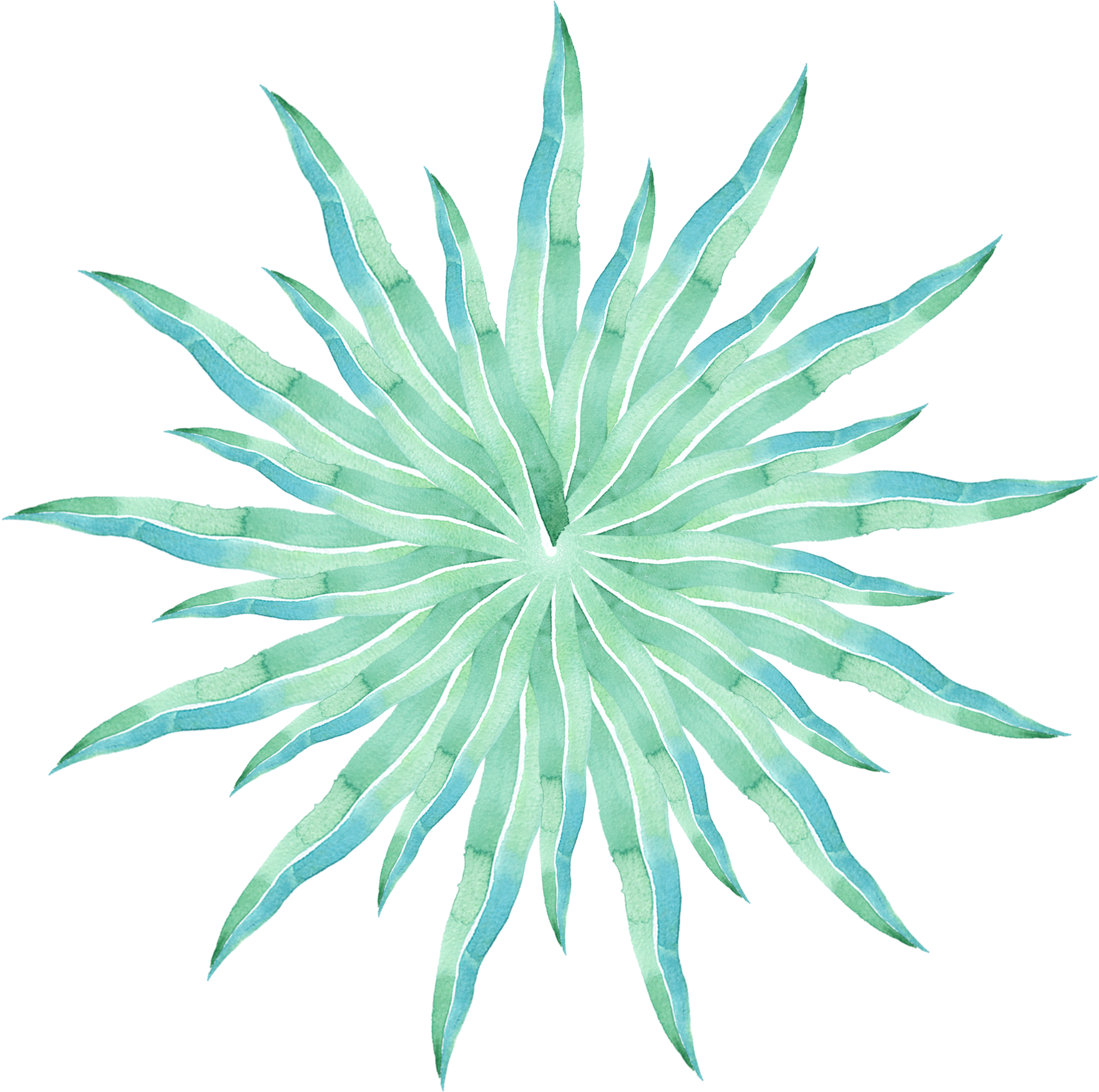 Simple Creative Stylish Watercolor Png And Psd - Agave Azul (2000x2000), Png Download