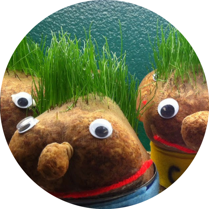 Grass Pets - Mar (800x800), Png Download