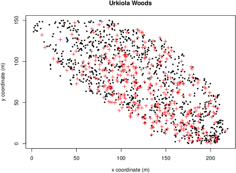 The Scatter Plot Of The Locations Of Birch Trees , - Diagram (850x638), Png Download