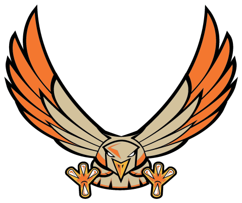 Hawk (800x800), Png Download