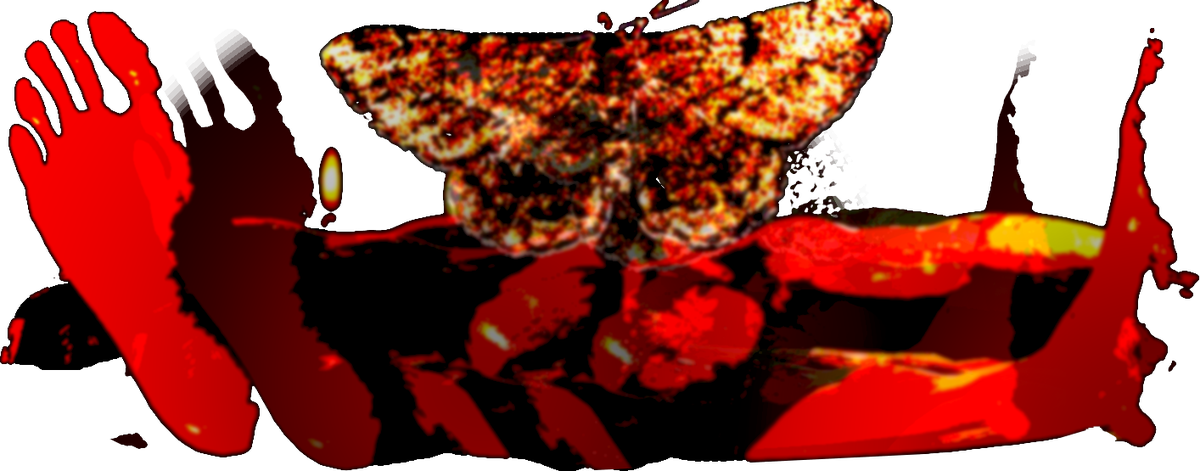 Ghosty Ocelot - Butterfly (1200x471), Png Download