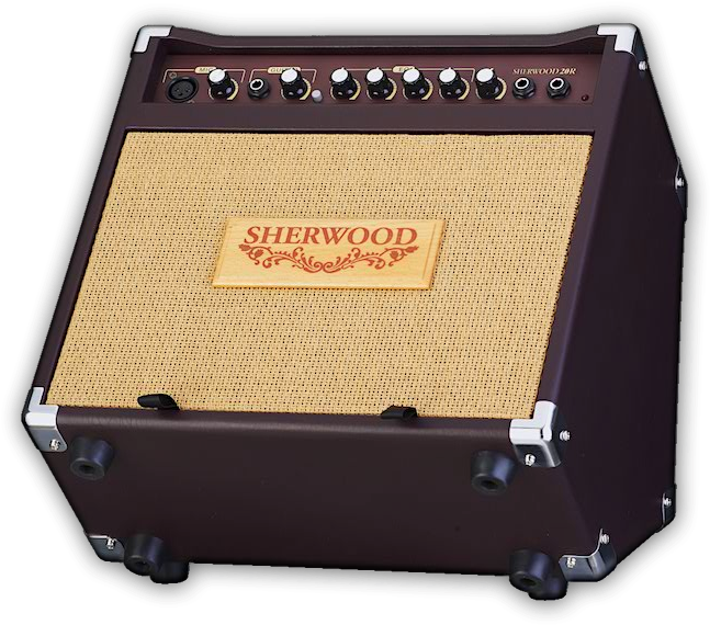 Carlsbro Sherwood 20r Guitar Amplifier - Guitar Amplifier (700x600), Png Download