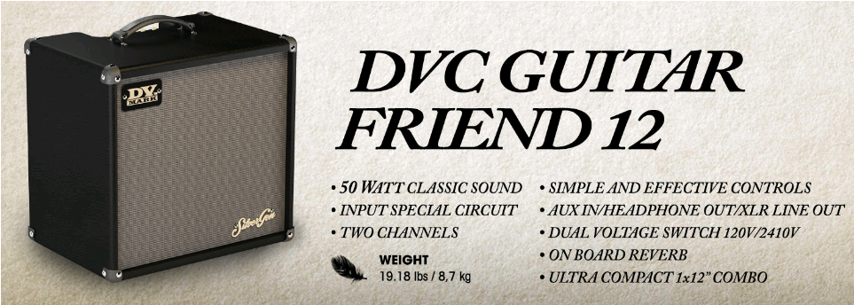 Dv Mark Dvc Guitar Friend - Friends Association (1000x800), Png Download