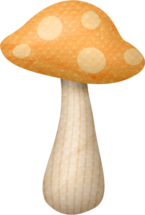 ‿✿⁀shrooms‿✿⁀ Setas, Lindo, Paper Piecing, Casas De - Edible Mushroom (484x717), Png Download