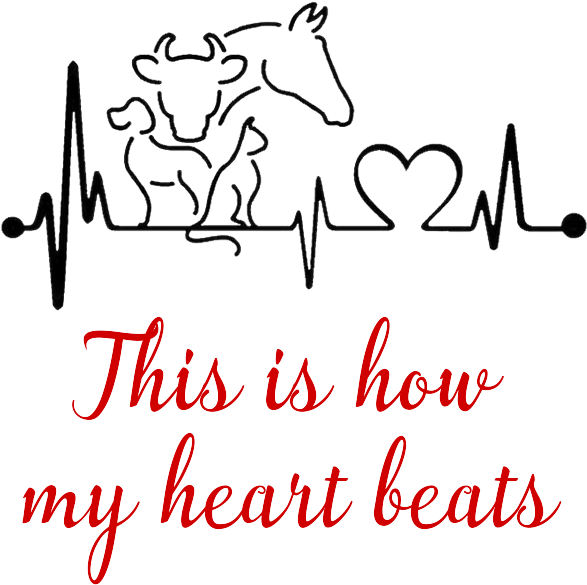 This Is How My Heart Beats - Dog Cat Horse Heartbeat Decal (600x700), Png Download
