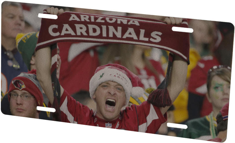 Arizona Cardinals Fan (1024x768), Png Download