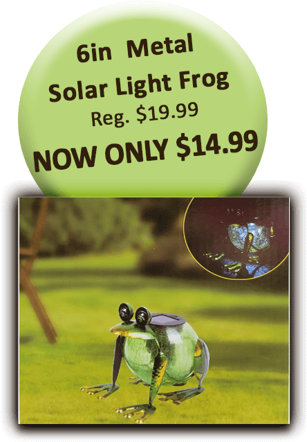6in Solar Light Frog - Poster (504x720), Png Download