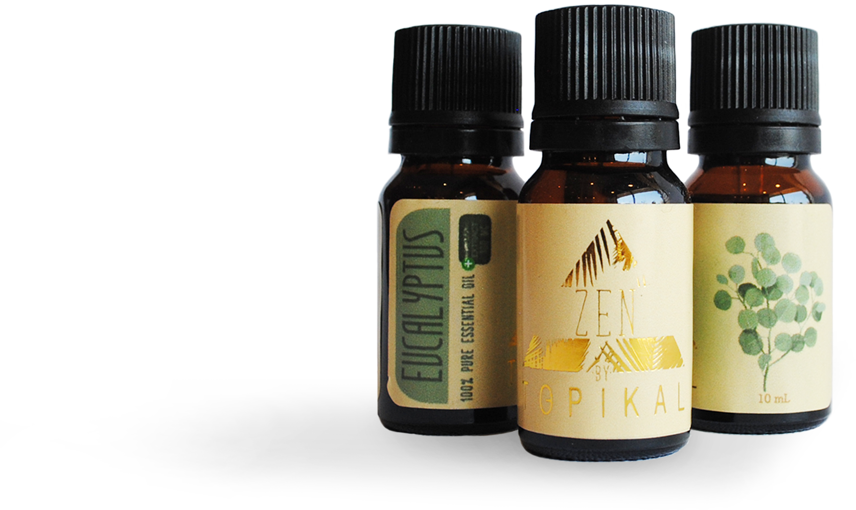 Home - Tree (2407x1980), Png Download