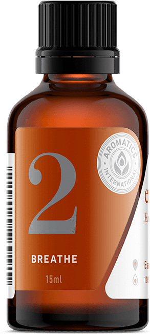 Eucalyptus Radiata Oil - Products Of Guava Leaves (864x864), Png Download