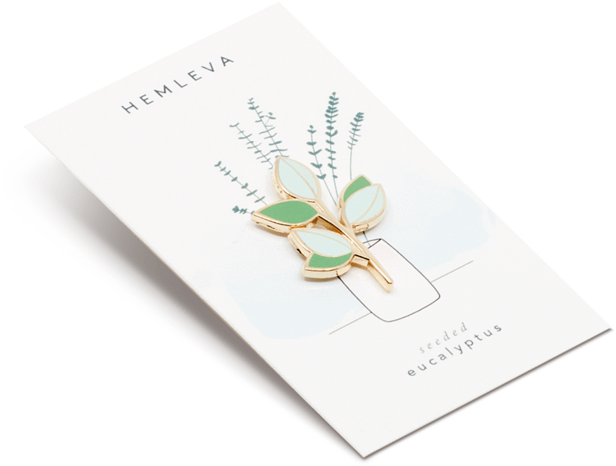 Eucalyptus V=1547579774 - Sketch Pad (1024x838), Png Download