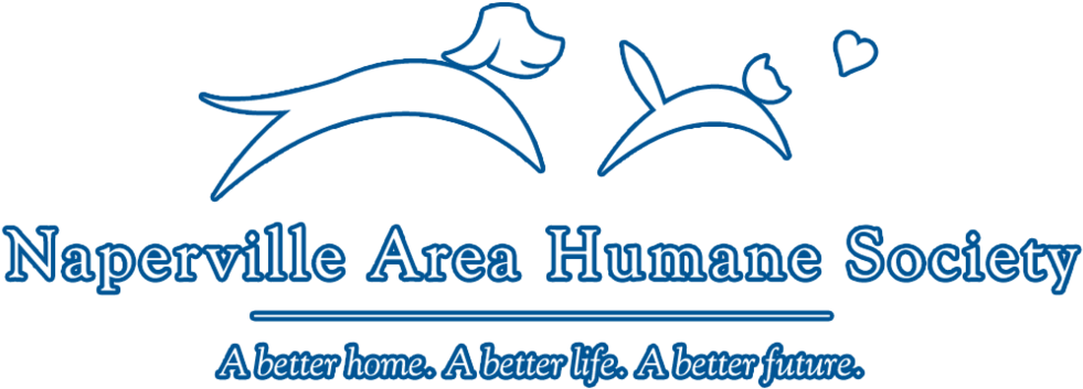 Nahs Logo Tagline White Blue Format=1500w (1000x352), Png Download