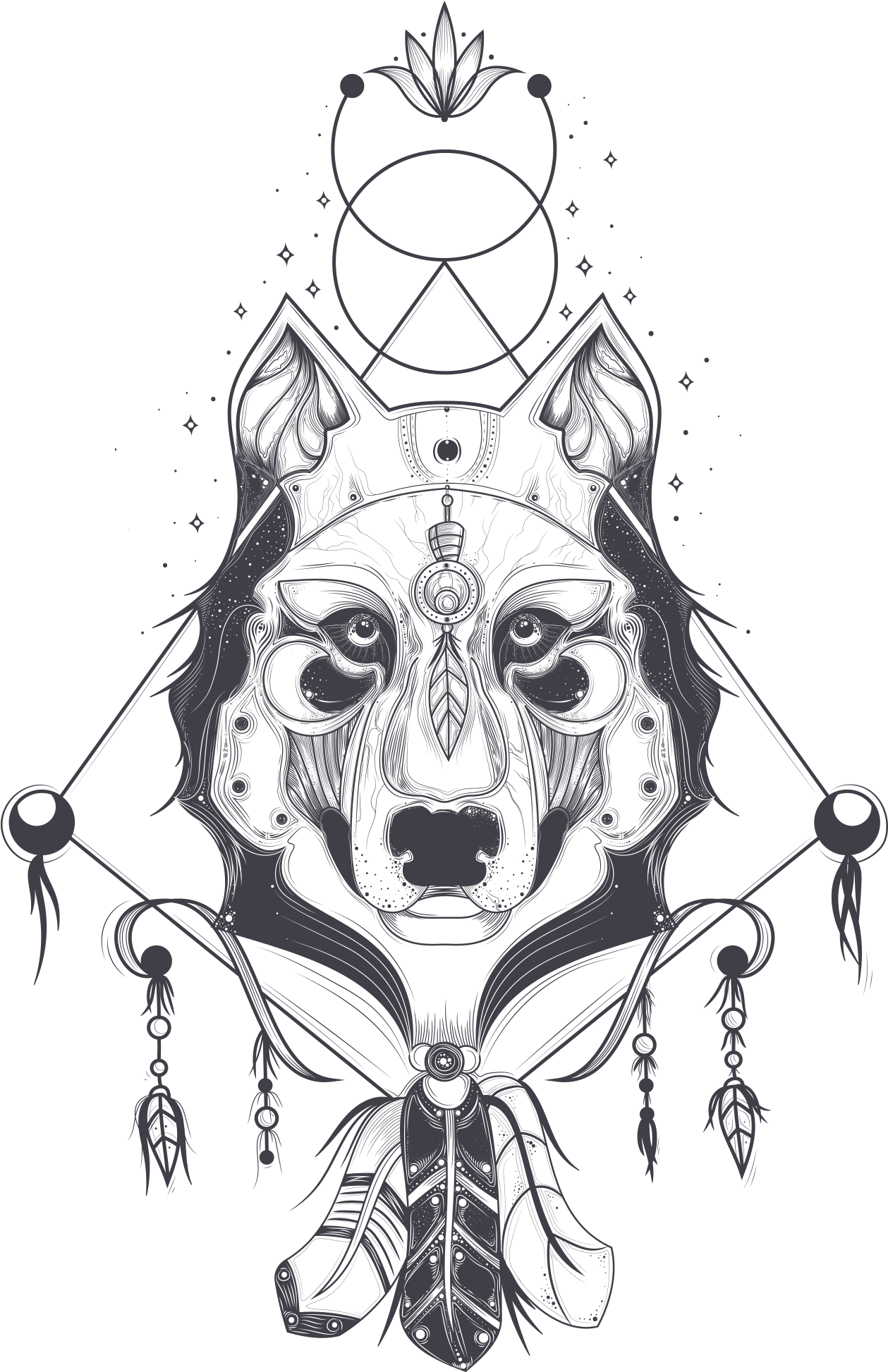 Download - Wolf Vector (2048x2048), Png Download
