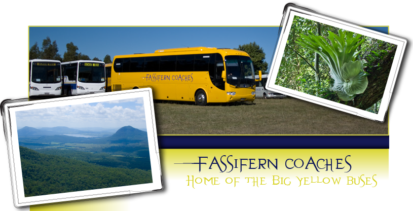 Yellow Buses Australia - Tour Bus Service (815x416), Png Download