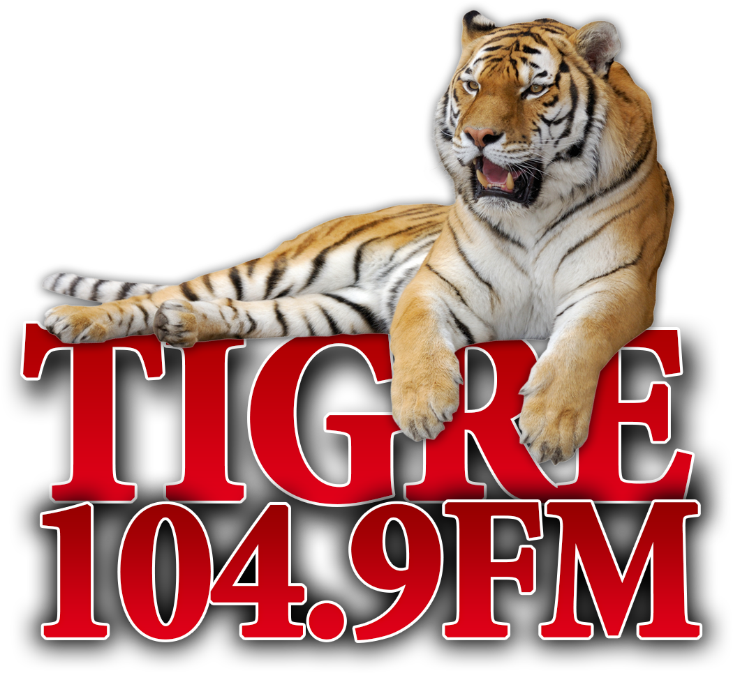 Denos Un “like” En Facebook Para Ganar Premios Y Regalos - Tiger Relaxing (1200x998), Png Download