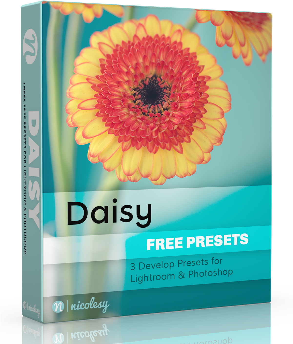 Lightroom Presets Daisy (1200x1500), Png Download