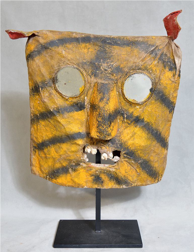 Tigre Mask - Cushion (1000x1000), Png Download