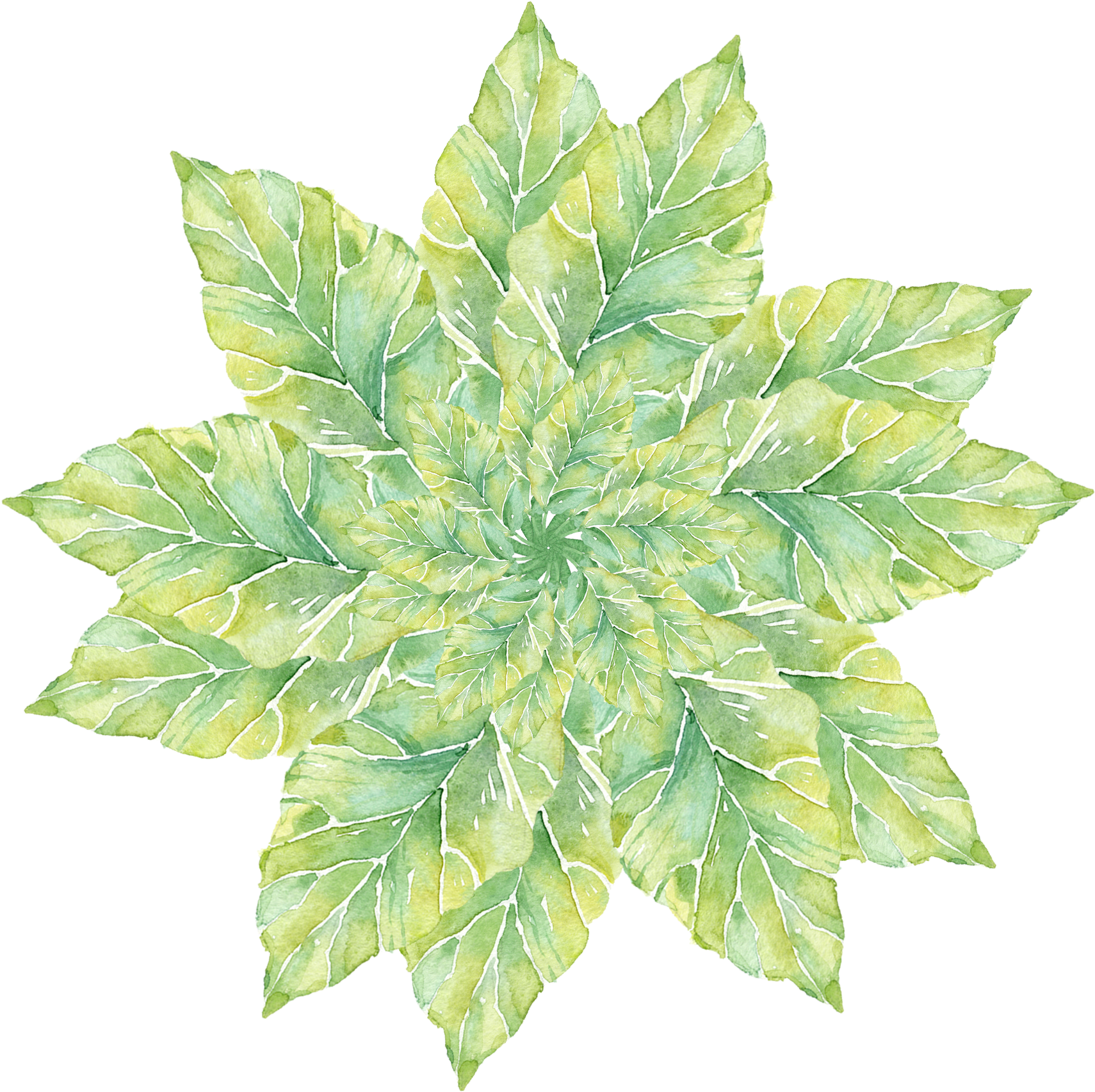 Simple Plant Watercolor Fresh Png And Psd - Houseplant (2000x2000), Png Download