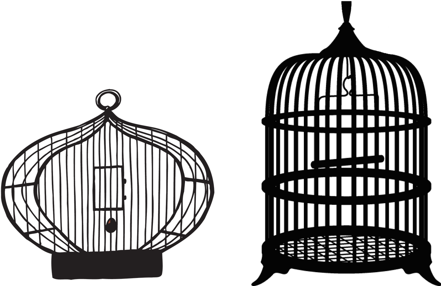 Bird Cage Transparent Background (1600x1027), Png Download
