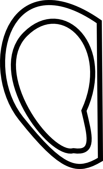 Elephant Ears Clipart - Ear (360x592), Png Download