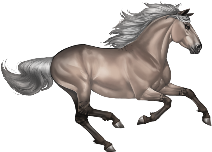Silvergrullo - Horse Png (700x503), Png Download