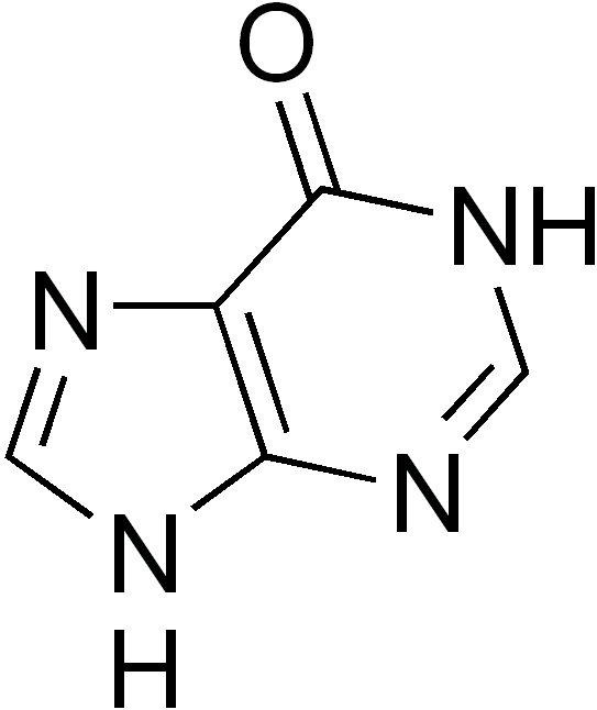 Hypoxanthine - Diagram (543x646), Png Download
