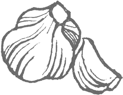 Floating-garlic - Sketch (416x316), Png Download